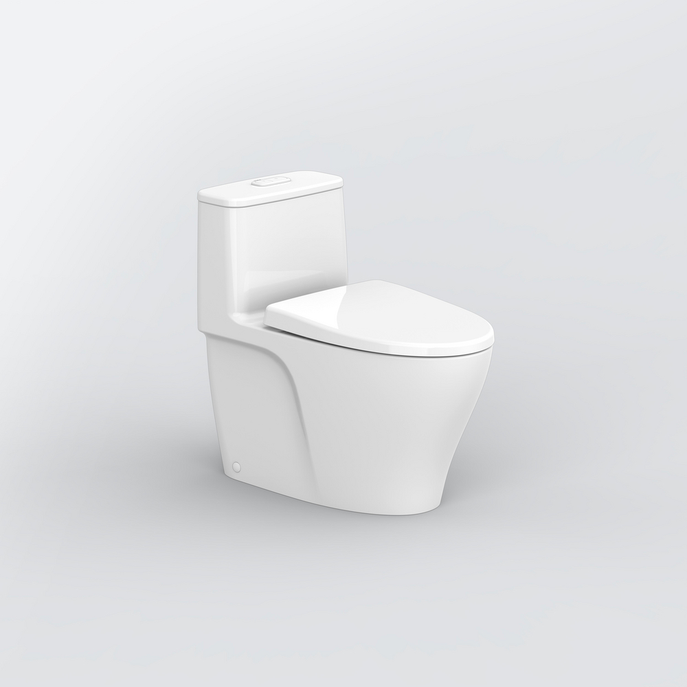 S100 One Piece Toilet
