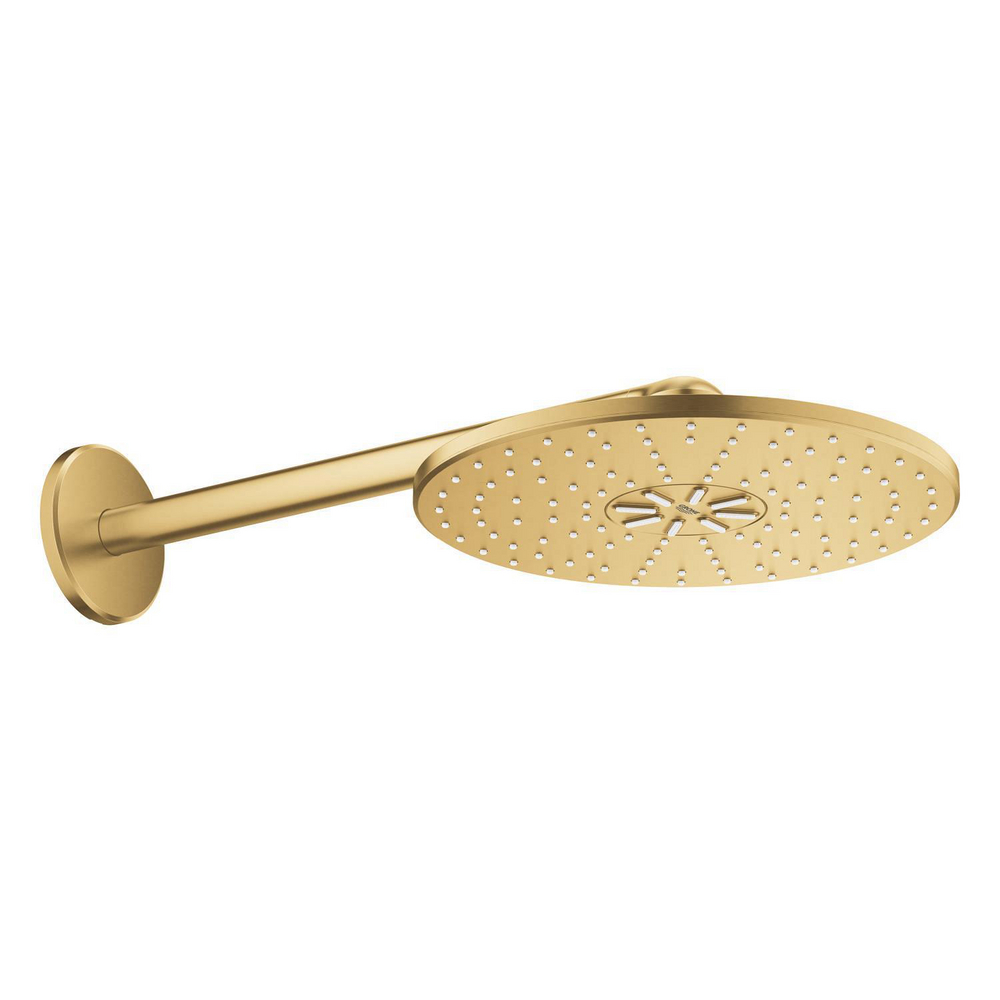 RSH SmartActive 310 headshower set
