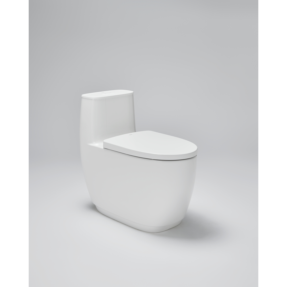 S600 One Piece Toilet